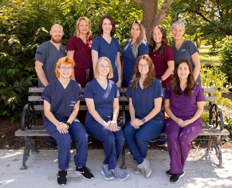 team 2 Hillside Animal Hospital Team