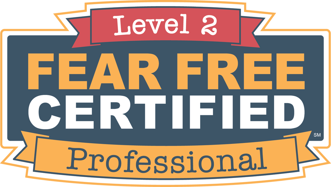 fear free certified level 2