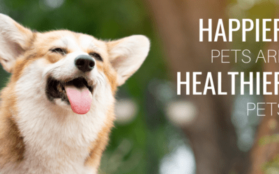 Happier Pets Are Healthier Pets