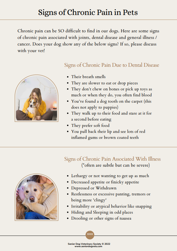 fear free vet visit infographic