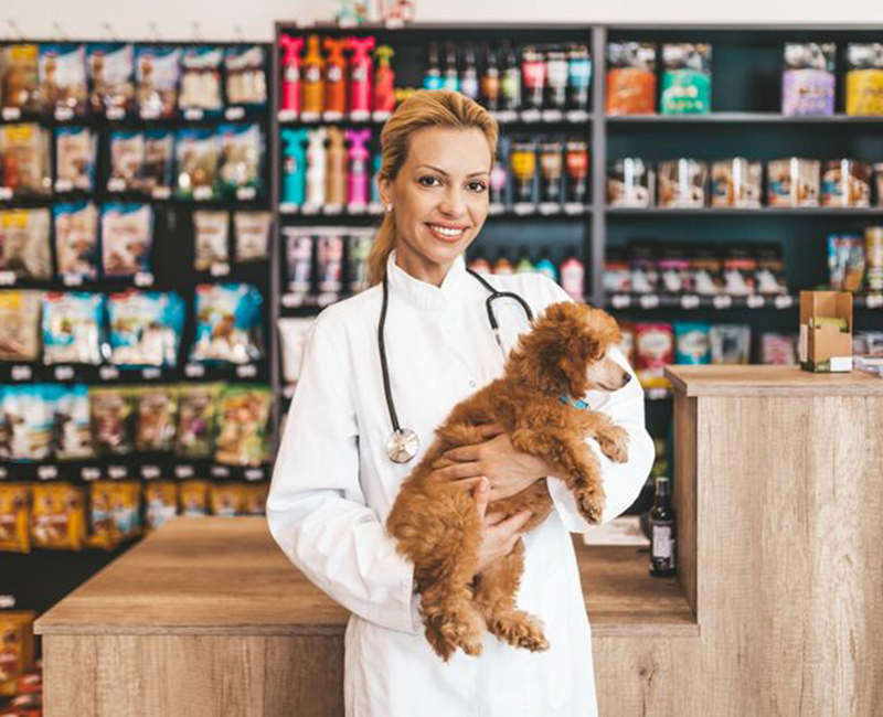 pet shop holding a dog